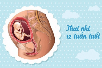 Phá thai 12 tuần và những điều cần biết