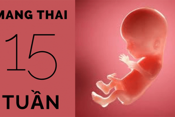 Bỏ thai 15 tuần có được không? Địa chỉ đình chỉ thai uy tín