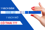 Thử que 1 vạch đậm 1 vạch mờ siêu âm được chưa – Nhận biết sớm nếu lỡ có thai